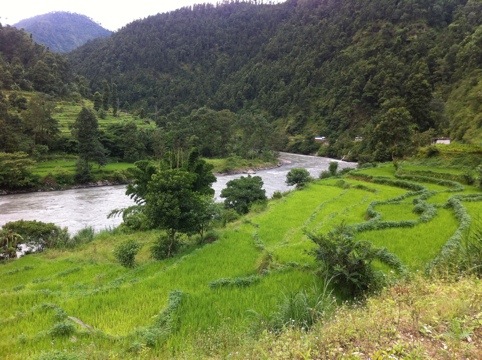 20110912-080203.jpg